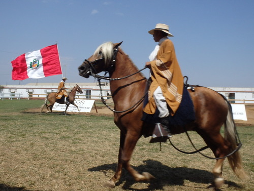 Peruvian Step Horse Show.